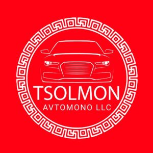 logo-tsolmon