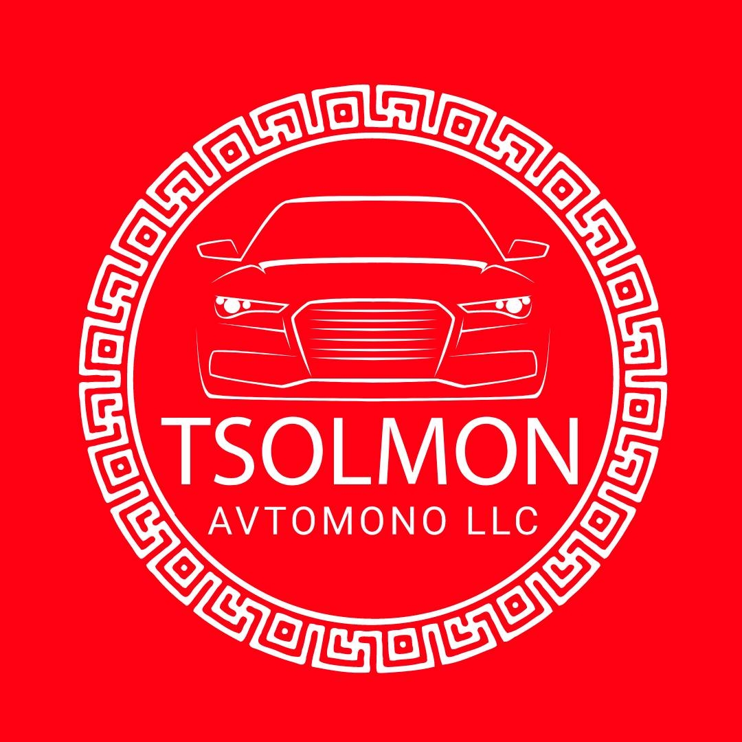 logo-tsolmon